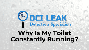 Why Is My Toilet Constantly Running post