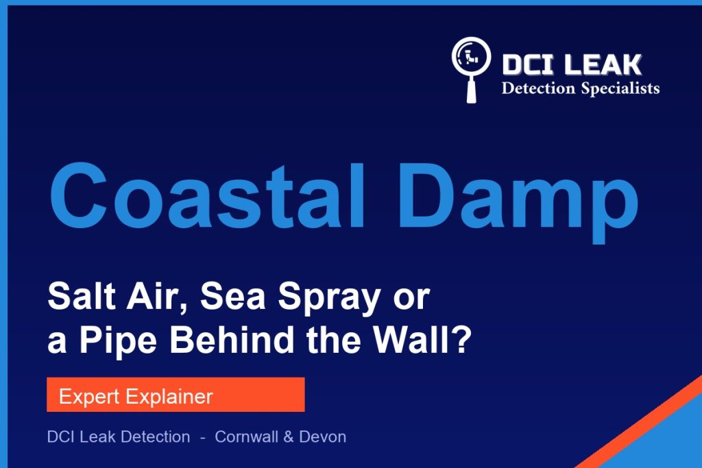 salt damp coastal homes — DCI Leak Detection guide