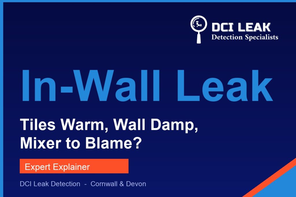 shower leaking in wall — DCI Leak Detection guide