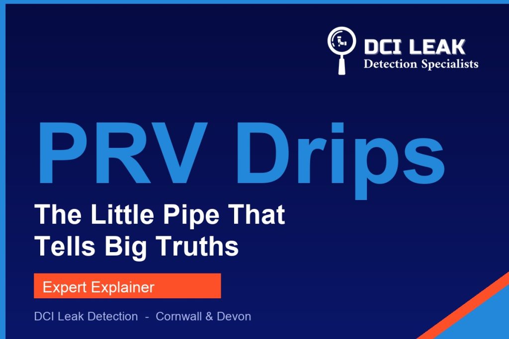 pressure relief valve dripping — DCI Leak Detection guide