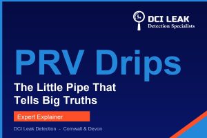 pressure relief valve dripping — DCI Leak Detection guide