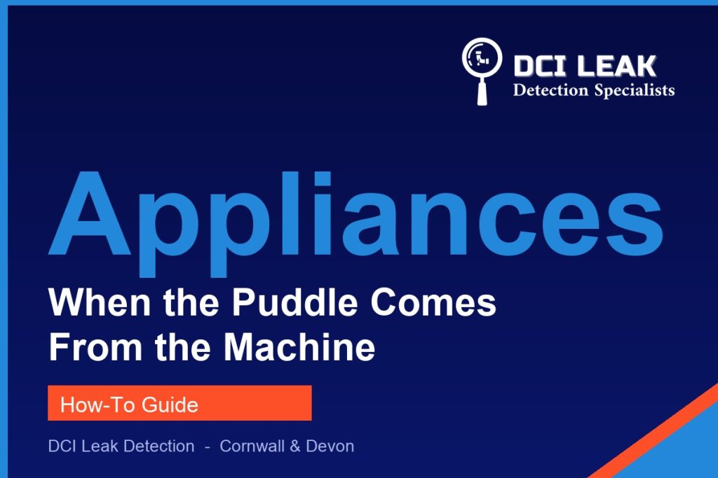 washing machine leaking — DCI Leak Detection guide