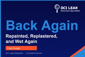 stain returned after repair — DCI Leak Detection guide