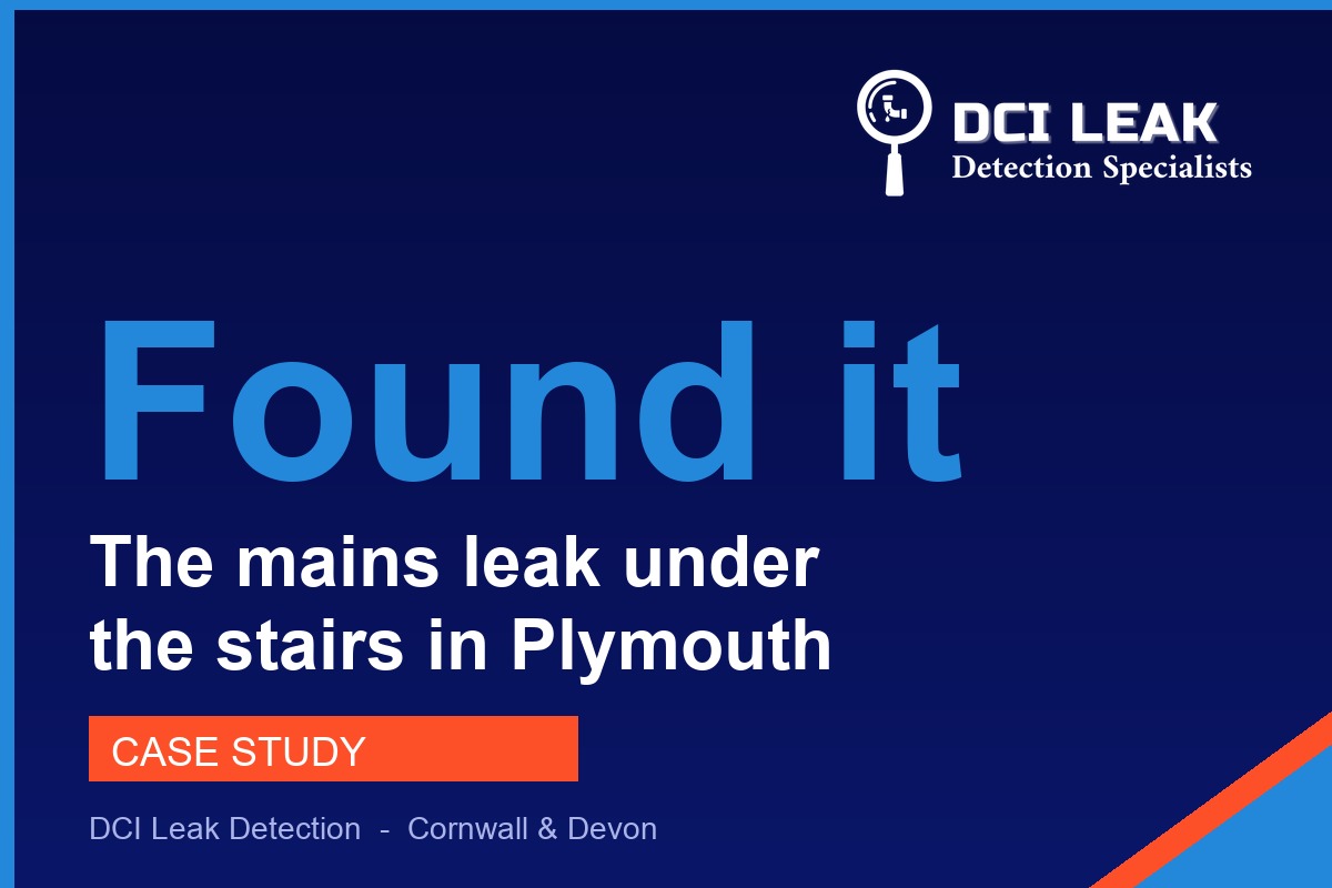 The Mains Leak Under the Stairs in Plymouth